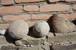Dino Eggs