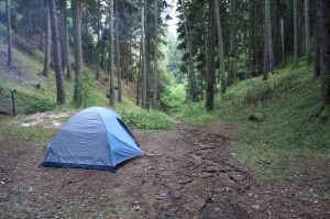 Camping in the Park