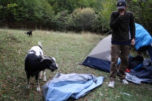 Camping Intruder