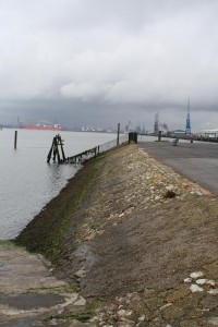 View From Mayflower Park in Southampton