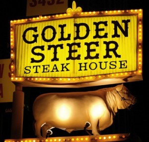 Steer